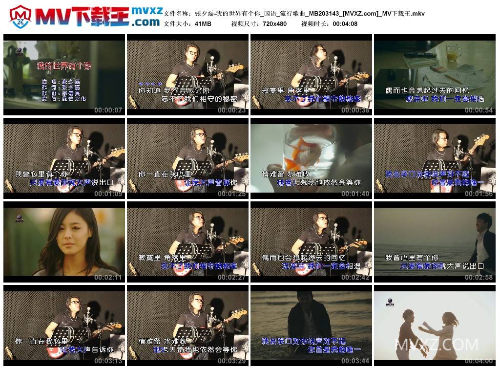 张夕磊-我的世界有个你_国语_流行歌曲_MB203143